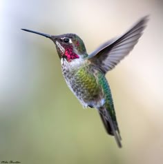 a hummingbird flying in the air with its wings spread out and it's beak open