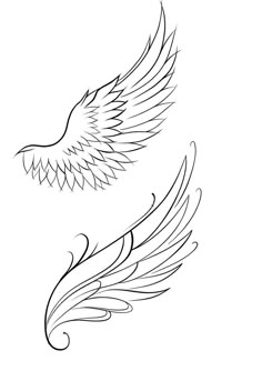 two wings that are drawn in black and white