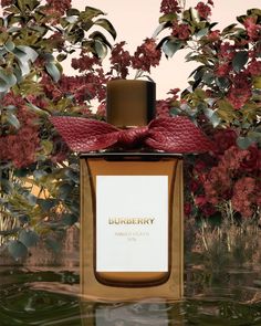 Welcome to Benjamin Muzzin, CGI artist . . #watchoutagency #Welcome #BenjaminMuzzin #CGI #advertising #artbuyers #producer #artproducer Burberry Bespoke Perfume, Burberry Blossom, Burberry Her Elixir Aesthetic, Burberry Her Elixir Eau De Parfum, Burberry Floral Perfume, Burberry Flower Perfume, Burberry Her Elixir De Parfum, Elegant Burberry Perfume Gift, Burberry Perfume Bottle And Box