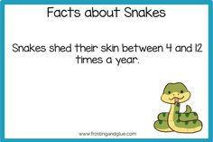 a snake with the caption that says, fact about snakes snakes shed their skin between 1 and 2 times a year