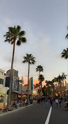 sunset, palm trees, disney world, hollywood studios