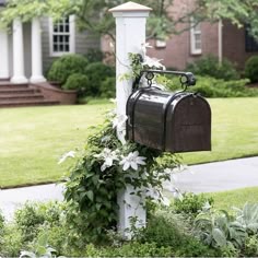 a mailbox with flowers growing on it in front of a house