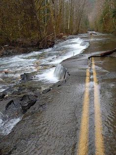 there is a yellow line on the side of the road that goes through some water