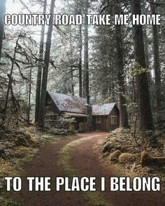 a cabin in the woods with trees and dirt path leading up to it's entrance