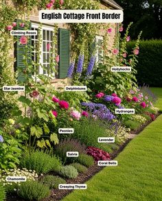 an english cottage front border with flowers and plants