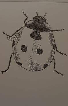 a drawing of a ladybug sitting on top of a table