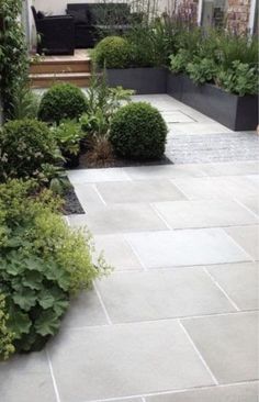 an outdoor patio with various plants and shrubs