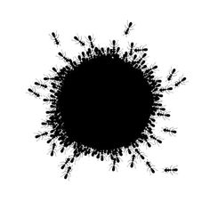 black ants sprout out from the center of a circle on a white background
