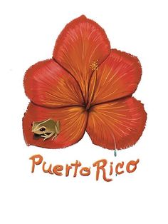 Puerto Rico Coqui and Flower by Jennylyn79 | Redbubble Puerto Rico National Flower Tattoo, Made In Puerto Rico Tattoo, Flower Of Puerto Rico Tattoo, Coqui Tattoo, Flor De Maga Puerto Rico Tattoo Design, Puerto Rico Florece Tattoo Designs, Puerto Rico State Flower, Puerto Rican Flag With Coqui Tattoo, Puerto Rico Flower