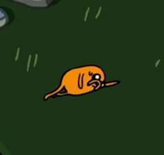 an orange dog laying on top of a green field