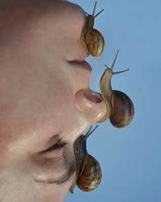 a close up of a person with snails on their nose