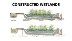 the diagram shows how water is used to build wetlandss