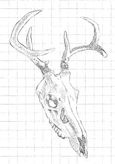 a drawing of a deer's head with large horns