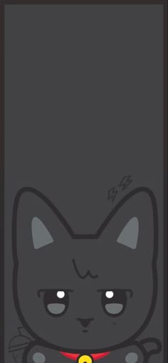 an image of a black cat with red collar and yellow tag on it's chest