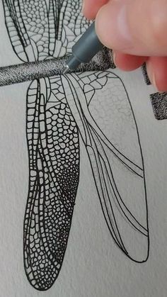 someone is drawing a dragonfly on paper