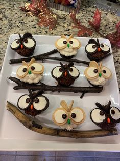 an owl themed dessert is displayed on a white platter with brown branches and leaves