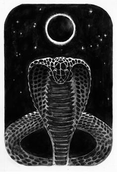 a black and white drawing of a snake with the moon in the background