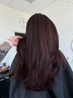 Brunette Hair Burgundy Highlights, Auburn Hair Black, Hair Color Inspo Black Hair, Cherry Wine Highlights, Chocolate Cherry Highlights On Brown Hair, Dark Cherry Lowlights, Mahogany Red Balayage, Redish Dark Brown Hair, Brown Hair With Deep Red Highlights