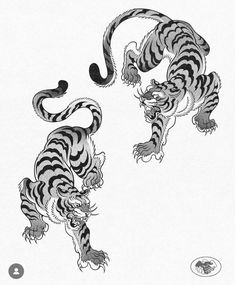 Wabori Tiger, Tiger Climbing Down Tattoo, Japanese Jaguar, Trad Japanese Tiger Tattoo, Crawling Tiger, Asian Tiger, Tiger Pattern Tattoo, Japan Tiger Tattoo, Siberian Tiger Tattoo