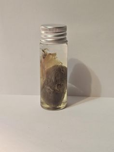 a glass jar filled with liquid sitting on top of a white table next to a wall