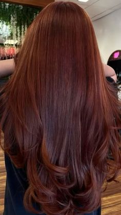 Gingerbread Copper Hair, Sardinia Red Hair Color, Red Brown Long Hair, Chroma Cayenne Hair Color, Terracotta Red Hair, Auburn Gold Hair, Red Tone Hair, Light Chestnut Red Hair, Honey Red Brown Hair