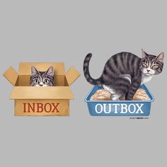 two cats sitting in an open cardboard box and another cat standing on top of it