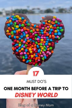 a heart shaped lollipop with the words 17 must do's one month before a trip to disney world
