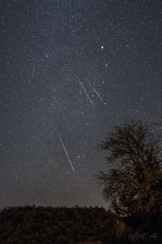 the night sky is filled with stars and shooting comets in the distance, as well as some trees