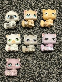 there are six little kittens sitting together on the floor, all different colors and sizes