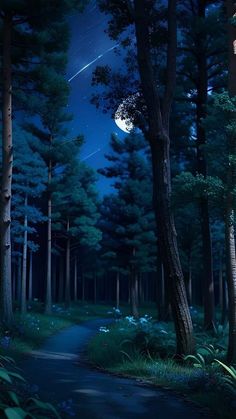 the night sky is full of stars and trees, as well as a path in the woods