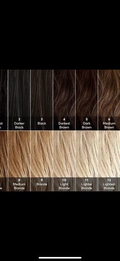 Hair Color Chart Levels, Level Hair Color Chart, Hair Color Levels, Dark Blonde Hair Color Name, Hair Dye Level Guide, Dark Blonde Hair Chart, Hair Colour Levels Chart, Light Brown Hair Color Sample, Hair Color Levels 1-10 Chart