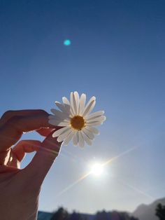 a person holding up a flower with the sun in the background and blue sky above