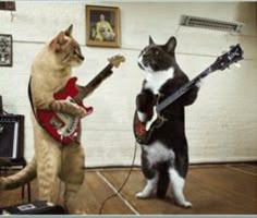 two cats are playing guitars and one cat is standing on it's hind legs