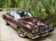 a brown car parked in front of a palm tree