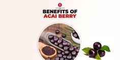 How To Eat Acai Berries, Acai Berry Uses, Acai Berry Dietary Benefits, How To Prepare Acai Berries, Acai Berries With Leaves, How To Use Acai Berries, Fresh Acai Berries On Branch, Acai Berry Benefits, Organic Acai Berries