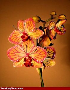 the flowers are blooming very nicely in the vase on the table next to the wall