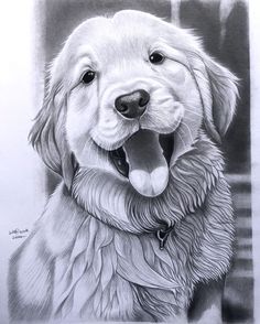 a drawing of a dog with its mouth open