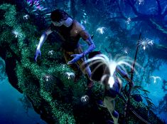 a man standing on top of a lush green forest