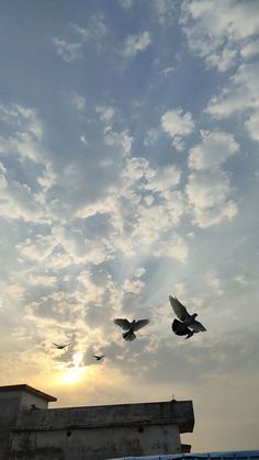two birds are flying in the sky above a building with a roof and some clouds