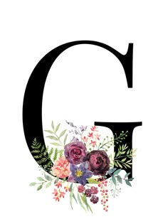 the letter g is decorated with flowers and leaves