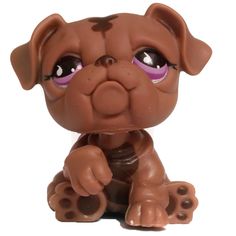 a small brown dog with big eyes sitting down