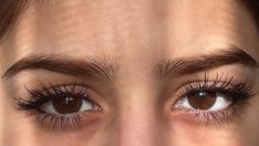 Serene Eyes, Natural Eye, Straight Eyes, Medium Brown Eyes, Brown Bambi Eyes, Brown Doe Eye, Round Brown Eyes, Eyelash Claim, Brown Eyes Long Lashes