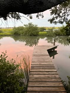 a wooden dock sitting next to a lush green field