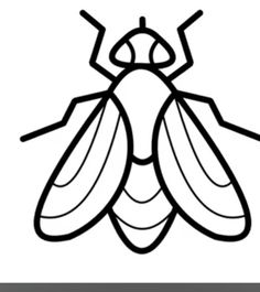 a black and white drawing of a fly