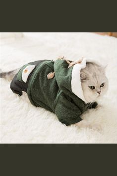 a cat wearing a green outfit laying on top of a white rug