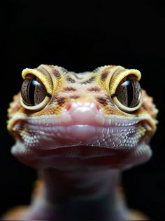 a close up of a gecko's face with its tongue out and eyes wide open