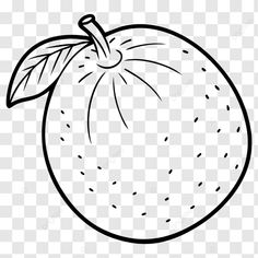 lime fruit black and white outline vector lime sketch lime coloring page lime line art png