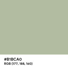 a green color with the words bjbcao on it