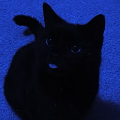 black cat aesthetic dark blue widgets icons