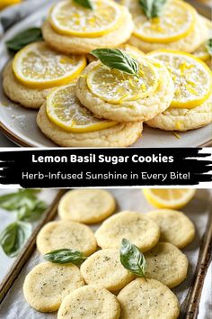 lemon basil sugar cookies with herbs and sunshine in every bite
